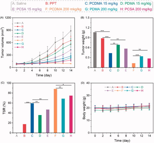 Figure 7. In vivo antitumor efficiency. Tumor volume changes (A), tumor weight at day 14 (B), TSR (C), and body weight changes (D) during the study. n= 6, **p< .01, ***p< .001.