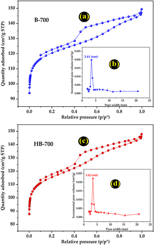 Figure 5. (a) and (c) Nitrogen gas Adsorption/desorption isotherm of B-700 and HB-700 at 77 K, respectively, and (b) and (d) their pore size distribution, respectively.