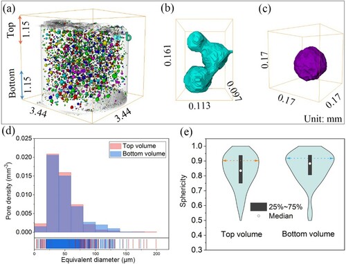 Figure 10. XRM analysis of the fractured WAAM 7055 alloy (Horizontal, as-deposited) specimen after tensile testing: (a) Overview of the pores distributed in the cylinder XRM reconstruction; (b) 3D morphology of representative merged pores; (c) 3D morphology of original spherical pores; (d) Comparisons of pore density (the number of pores per mm3) and equivalent diameter between top and bottom volumes; (e) Violin plot illustrating the distributions of pore sphericity for the top and bottom volumes. The definition of the top and bottom volumes is shown in (a) with a length of 1.15 mm.