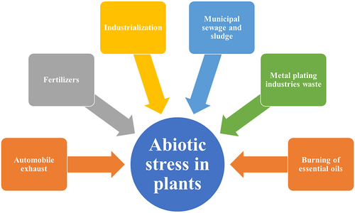Figure 7. Different abiotic stresses in plants.