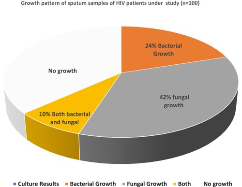 Figure 1 Bacterial and fungal growth pattern of sputum samples taken from HIV patients.
