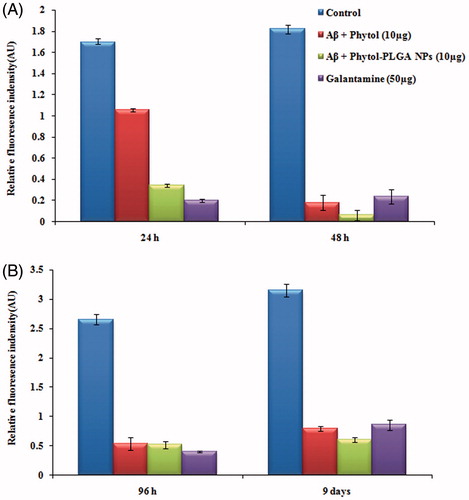 Figure 6. Quantification of anti-aggregation pattern of Aβ fibrillogenesis by Th-T fluorescence assay in the presence and absence of phytol and phytol-PLGA NPs in (A) phase I (24 h, 48 h) and (B) phase II (96 h, 9 days). Values are expressed as mean ± SD (n = 3).