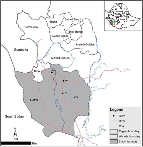 Figure 1. Bench-Maji Zone of SNNP (the study area) in Ethiopia.Source: Zeleke Kebebew, for the authors.
