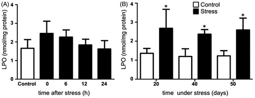 Figure 2. Lipid peroxidation (LPO) in the testis of rats acutely and chronically stressed. (A) LPO was evaluated at 0, 6, 12, and 24 hours after stress exposure in males exposed to one stress session. No significant differences were observed in the concentrations of lipid hydroperoxide. One-way ANOVA. (B) In males stressed chronically for 20, 40, and 50 consecutive days the concentrations of lipid hydroperoxide were significantly increased. The values of the graph show the mean ± SD (n = 5). Two-way ANOVA. Tukey-Kramer post-test. *p < 0.05 compared with their respective control group.