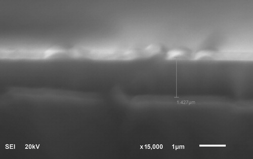 Figure 4. Cross-section of monocrystalline silicon substrate coated with TiAl.