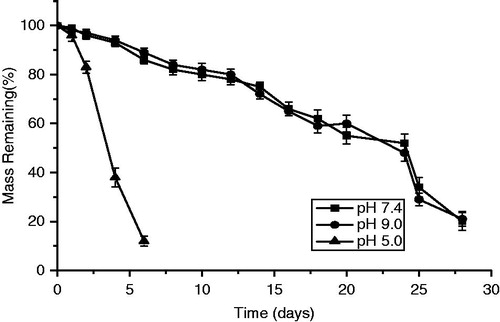 Figure 5. pH-sensitive profiles of dual thermoresponsive and pH-responsive micellar gel (n = 3).