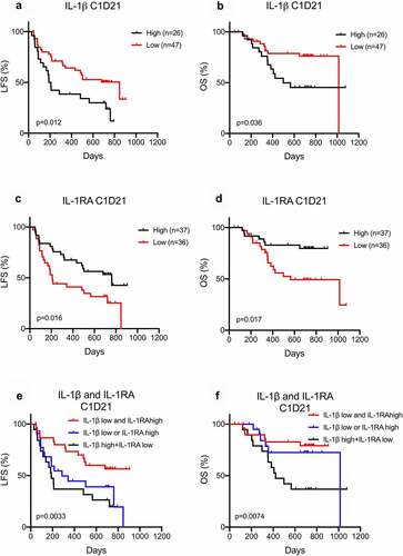 Figure 2. Low IL-1βand high IL-1RA serum levels after immunotherapy are associated with a favorable outcome in AML. (a-d) Patients dichotomized based on below or above 0.6 pg/ml of IL-1β (a, b) or 66 pg/ml IL-1RA (c-d) in serum after the first cycle of immunotherapy were analyzed for leukemia-free survival (a, c) or overall survival (b, d) by the log-rank test. (e-f) Patients were separated into three groups where the first constituted patients with low (<0.6 pg/ml) IL-1β levels along with high (>66 pg/ml) IL-1RA levels in serum after the first cycle of immunotherapy (IL-1β low and IL-1RA high, black line, n = 30), the second constituted patients with high IL-1β levels along with low IL-1RA levels (IL-1β high and IL-1RA low, blue line, n = 24), and the remaining patients were in the third group (IL-1β low or IL-1RA high, red line, n = 19). The leukemia-free survival (e) and overall survival (f) of patients in the three groups were analyzed by the log-rank test for trend