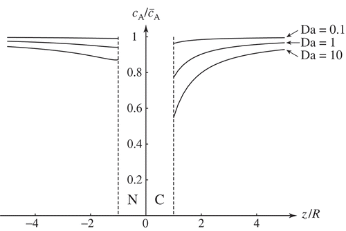 Figure 1. Relative concentration profiles of the fuel A along the axis z of the Janus particle for three values of the Damköhler number. C and N denote the catalytic and non-catalytic hemispheres, respectively. The profiles are obtained for cˉB=0.