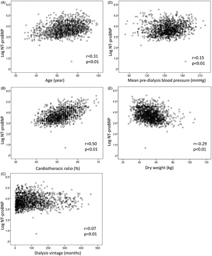 Figure 1. Comparison between logarithmic NT-proBNP and other clinical parameters at baseline. Logarithmic NT-proBNP correlated with age (r = 0.31, p < .01) (A) and cardiothoracic ratio (r = 0.50, p < .01) (B), but not with hemodialysis vintage (r = 0.07, p = .012) (C), mean pre-dialysis systolic blood pressure (r = 0.15, p < .01) (D), or dry weight (r=-0.29, p < .01) (E). All data were extracted using Spearman’s rank correlation tests.