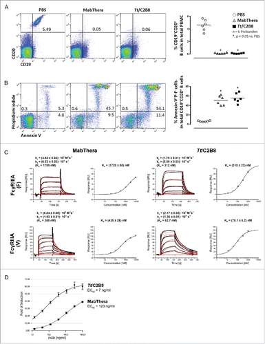 Figure 3. In vitro properties of anti-CD20 antibody expressed by T. thermophila and mammalian cells. (A) Both anti-CD20 antibodies bind to the CD20 epitope on human B cells in the same manner. Representative flow cytometry blots of freshly isolated PBMCs after incubation with MabThera® or Tt/C2B8. Control: PBMC incubated with PBS. (B) Induction of apoptosis in human PBMCs treated either with Tt/C2B8 or MabThera®. Representative flow cytometry blots of CD19/CD20 positive B cells gated for CD19 positive cells and stained with propidium iodide (P-I) and Annexin V. Apoptotic cells appear in upper right. (C) Interaction of immobilised human FcγRIIIA F and V with anti-CD20 antibodies in a Biacore 3000 on a CM5 sensor chip (GE Healthcare). Serial dilutions (1:3, starting at 9 µM) of MabThera® and Tt/C2B8 were injected in triplicates. Binding curves (colored graphs) were fitted according to the Langmuir 1:1 interaction model for the calculation of kinetic constants. Dissociation constants (KD) indicating the affinities of the receptor variants to the antibody samples were calculated from equilibrium responses. Bars indicate standard errors. (D) Induction of antibody-dependent cell-mediated cytotoxicity. Serial dilutions of fully glycosylated Tt/C2B8 (triangle) or MabThera® (square) were incubated with Raji-target cells and engineered Jurkat effector cells (ET-ratio 1 : 6). Luciferase activity was quantified using Bio-Glo™ reagent. Data were fitted using 4PLC curve fit and EC50 was calculated from the point of inflection. The y-axis error bars (SEM) result from n = 5 separate replicates.