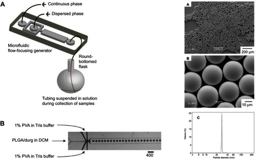 Figure 3 The left side shows (A) a schematic illustration of the procedure to fabricate monodisperse polymer microparticles and (B) optical microscopy image showing the orifice of the flow-focusing region generating droplets of dichloromethane (DCM) in water. The right-hand side shows (A, B) scanning electron microscopy images of monodisperse poly(lactic-co-glycolic acid) (PLGA) microparticles with a diameter of approximately 28 μm. (C) Size distribution of the microparticles measured using a coulter counter.Note: Reprinted with permisson from Xu QB, Hashimoto M, Dang TT, et al. Preparation of monodisperse biodegradable polymer microparticles using a microfluidic flow-focusing device for controlled drug delivery. Small. 2009;5(13):1575–1581. Copyright © 2009 Wiley‐VCH Verlag GmbH & Co. KGaA, Weinheim.Citation30