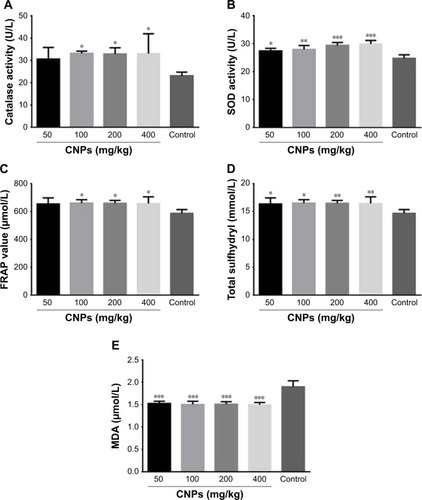 Figure 2 Effects of CNPs on serum oxidant/antioxidant status of male Wistar rats after treatment with CNPs for 14 days. (A) Effect of CNPs on MDA level. (B) Effect of CNPs on SOD activity. (C) Effect of CNPs on total SH level. (D) Effect of CNPs on CAT activity. (E) Effects of CNPs on FRAP values are expressed as mean ± SEM (n=7). *P<0.05, **P<0.01, ***P<0.0001 as compared with the control group.Abbreviations: CNPs, cerium oxide nanoparticles; MDA, malondialdehyde; SOD, superoxide dismutase; SH, sulfhydryl; CAT, catalase; FRAP, ferric reducing/antioxidant power.