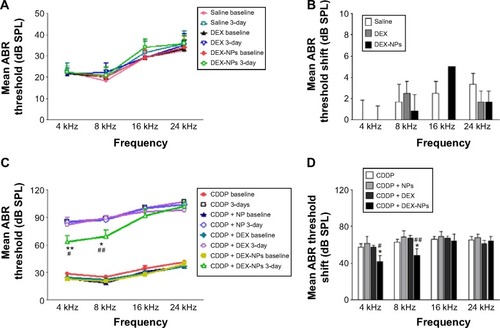 Figure 7 Mean ABR threshold and shift of guinea pigs treated with saline, DEX, DEX-NPs, CDDP, CDDP + NPs, CDDP + DEX, and CDDP + DEX-NPs by RWM administration.Notes: Mean (A and C) ABR threshold and (B and D) shift of guinea pigs treated with saline (n=6), DEX (n=6), DEX-NPs (n=6), CDDP (n=8), CDDP + NPs (n=8), CDDP + DEX (n=8), and CDDP + DEX-NPs (n=10) by RWM administration. ABR shift thresholds are given as the mean ± SD. *P<0.05 and **P<0.01 as compared with CDDP; #P<0.05 and ##P<0.01 as compared with CDDP + DEX.Abbreviations: ABR, auditory brainstem response; SPL, sound pressure level; DEX, dexamethasone; DEX-NPs, dexamethasone-loaded polyethylene glycol-coated polylactic acid stealth nanoparticles; CDDP, cis-diamminedichloroplatinumII; NP, nanoparticle; RWM, round window membrane; SD, standard deviation; n, number.