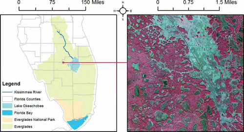 Figure 1. Map of the Everglades and study area shown as a color infrared (CIR) aerial photograph.