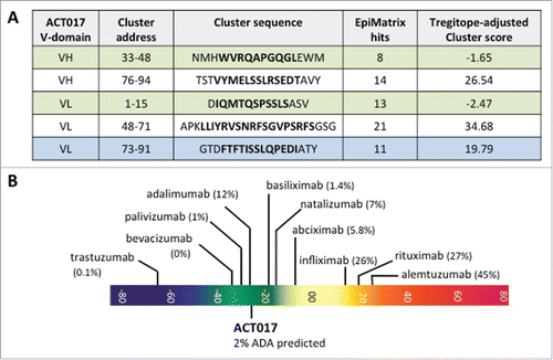 Figure 6. Overview of immunogenic potential of ACT017. (A) Putative T-cell epitope cluster found in ACT017 V-domains and main features. Clusters highlighted in green contain known Tregitope sequences. Cluster highlighted in blue contains homolog to known Tregitopes sequences. (B) Immunogenicity scale (Epimatrix protein score). Upper pane showcases: observed ADA responses in known antibodies. Lower pane showcases: predicted ADA responses in ACT017. All predictions are adjusted for the presence of Tregitopes.