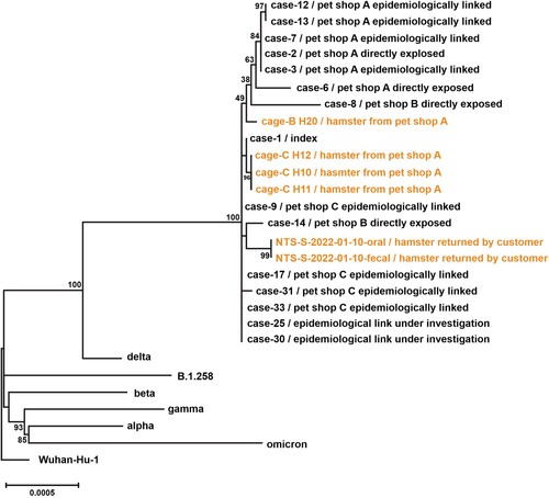 Figure 3. Phylogenetic tree of whole-genome sequences of SARS-CoV-2 found in patients, hamsters or environment of pet shops. Complete viral genome nucleotide sequences were aligned, and the phylogenetic tree was generated by Maximum Likelihood method and generalized time-reversible substitution model GTR + F+I. The number next to the branches indicated the bootstrap values representing the percentage of 1000 replicates. Full-length genomic sequences derived from 15 patient samples and six hamster swab samples, one representative genome sequence of original SARS-CoV-2 (Wuhan_Hu_1), five Variant of Concern strains (Alpha, B.1.1.7; Beta, B.1.351; Gamma, P.1; Delta, B.1.617.2; Omicron, B.1.1.529) and SARS-CoV-2 lineage B.1.258 were included in the analysis.