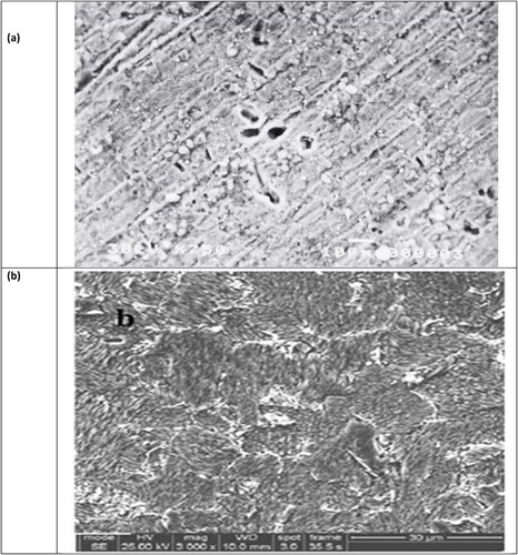 Figure 13. SEM images of carbon steel sample immersion in 3.5% NaCl solution for 48 hr. at 30 °C: (a) with the presence of 200 ppm of the inhibitor (PETTEDAA -Oli)). And (b) in absence of inhibitor.