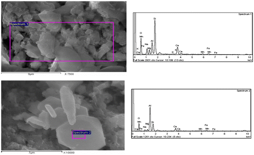 Figure 9. SEM of a sample sintered for 1 h with incorporation of 1% RH at 1000 °C.