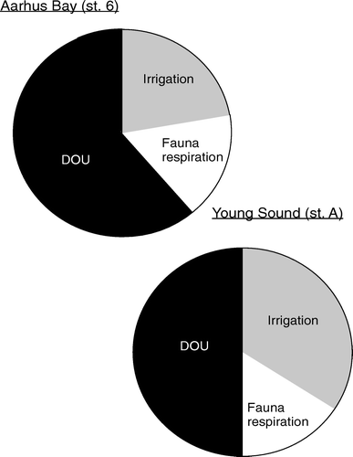 Figure 11.  Processes responsible for the O2 consumption in two coastal sediments. Both data-sets reflect that faunal activity is responsible for a significant fraction of the TOU and that the irrigation is a quantitatively more important process than respiration (data extracted from Glud et al. Citation2000b, 2003 and updated fauna information from Sejr & Christensen Citation2007).