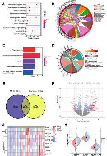 Figure 6 Intersection and validation of ImmuneDEGs co-expressed with METTL1. Bubble plot (A) and circos plot (B) for the GO enrichment analysis of ImmuneDEGs; Bubble plot (C) and circos plot (D) for the KEGG enrichment of ImmuneDEGs; Venn diagram (E) of 8 candidate genes overlapping ImmunDEGs and METTL1-coexpressed genes; Volcano plot (F) and Heatmap (G) and for 8 candidate genes between SLE and HC; Violin plot (H) for the expression of LAMP3, CD83 and PDCDILG2 in GSE50772 dataset for validation. Mann–Whitney test. Data are means ± SEM. *P < 0.05, ***P < 0.001.