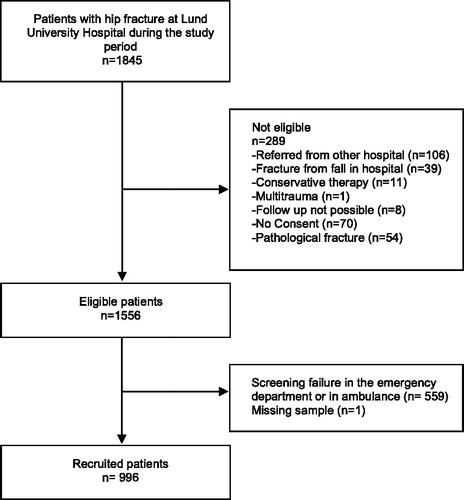 Figure 1. Flowchart of patients included in the study.