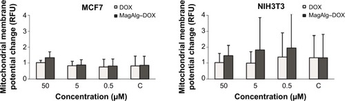 Figure 3 Production of mitochondrial membrane potential changes in MCF7 and NIH3T3 cell lines.Notes: The ratio of median of green monomer and red aggregate expressed the amount created in dependence of concentration of 50 μM, 5 μM, and 0.5 μM of DOX or MagAlg–DOX nanocarrier. The higher values the higher probability of early stage of apoptosis. Data represent mean and standard error from three independent measurements. Significance was determined using ANOVA and Dunnet post hoc test.Abbreviations: DOX, doxorubicin; RFU, relative fluorescence unit.