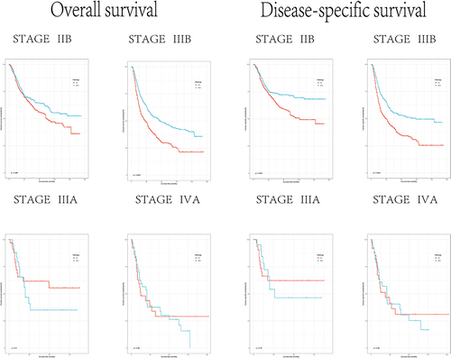 Figure 8 OS and CSS data of different stages of cervical squamous cell carcinoma and cervical adenocarcinoma after radiotherapy and chemotherapy after PSM.