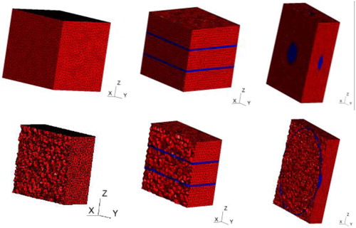 Figure 2. Complete (top) and section (bottom) views of the 3 adopted microstructural configurations with the cardiomyocytes in red and the collagen planes in blue.