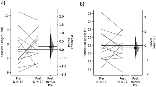 Figure 2. (a) Individual participant response for fascicle length of biceps femoris long head muscle. (b) Individual participant response for pennation angle of biceps femoris long head muscle.