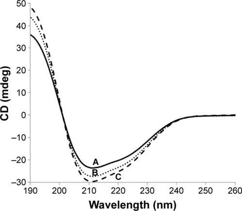 Figure 2 CD spectra of BSA-V-NPs and DOX-BSA-V-NPs.Notes: (A) BSA-V-NPs (0% DOX); (B) DOX-BSA-V-NPs (2.5% DOX); and (C) DOX-BSA-V-NPs (5% DOX).Abbreviations: BSA, bovine serum albumin; CD, circular dichroism; DOX, doxorubicin; NPs, nanoparticles; V, vanillin.