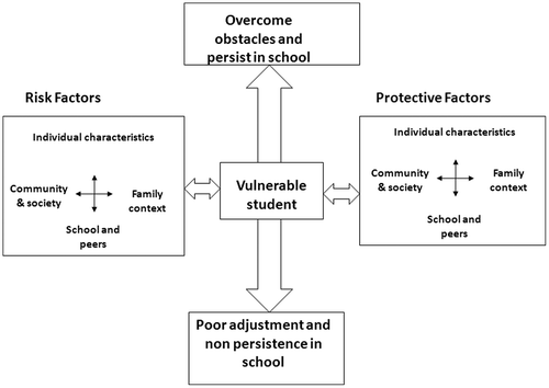Figure 1. Risk and resilience framework. Adopted from Murray Citation2003.