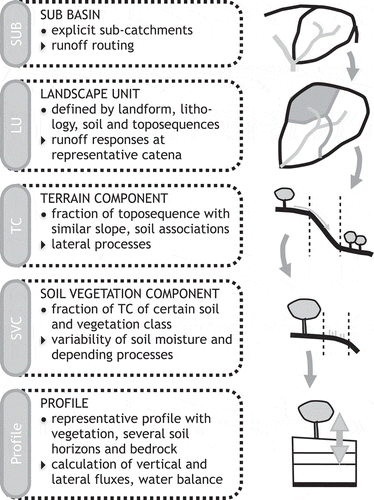 Fig. 2 The spatial and process elements of the hydrological model WASA (after Güntner and Bronstert Citation2004).