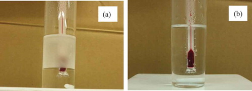 Figure 2. Dissolution behavior of PC in water. (a): At lower than 65ºC, (b): at higher than 72ºC.