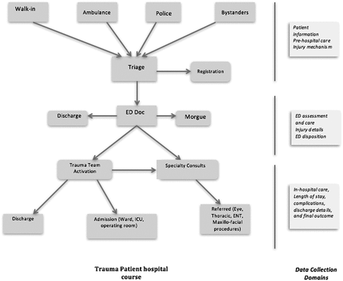 Figure 2. Typical course of a trauma patient and organization of data-collection domains. ED Doc, emergency department doctor; ICU, intensive care unit; ENT, ear, nose and throat.