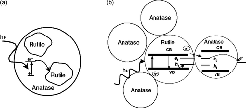 Figure 8. Models of mixed-phase TiO2: (a) rutile islands surround anatase particles, and rutile is an electron sink; (b) a small rutile core surrounded by anatase crystallites, where electrons are shuttled from rutile to anatase.