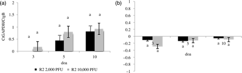 Figure 5.  Effect of the dose of vaccine on the load of vaccine DNA in the lung. Load of serotype 1 MDV vaccines DNA was evaluated by real-time PCR. Results expressed as the relative Ct ratio of the amplification of the chicken GAPDH gene and the MDV gB (see Materials and Methods). 5a: Load of DNA of R2 in the lung at 3, 5, and 10 doa after administration of 2000 or 10,000 PFU of the vaccines by the s.c. route. 5b: Load of viral DNA in the lung relative to the load of viral DNA in the spleen (load of viral DNA in the lung – load of viral DNA in the spleen) after administration of 2000 or 10,000 PFU of vaccine R2 via s.c. route. Same letter above the bar indicates that no statistically significant differences were detected (P < 0.05). *Statistically significant differences between the load of vaccine DNA in the lung and in the spleen.