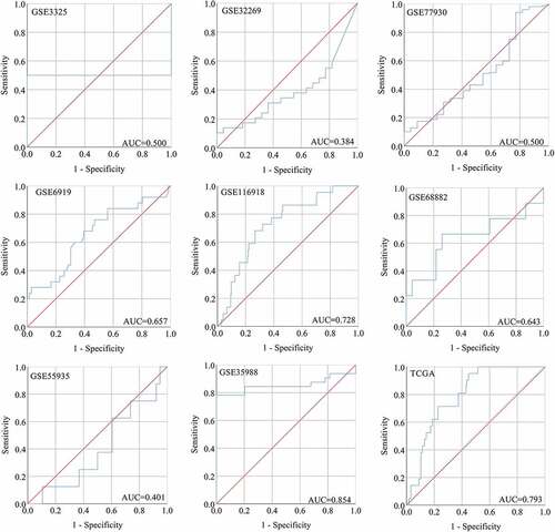 Figure 8. The ROC curves of SNAP91 for distinguishing capacity in MPCa samples. area under the curve: area under the curve; TCGA: The Cancer Genome Atlas; ROC: receiving operator characteristic; SNAP91: synaptosome-associated protein 91; MPCa: metastatic prostate cancer