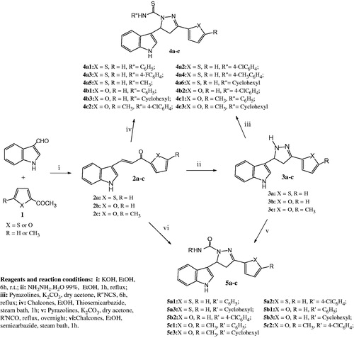 Scheme 1. Synthesis of compounds 2–5.