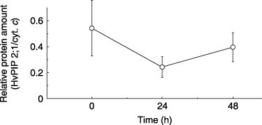 Figure 4  Relative amounts of HvPIP2;1 protein in barley roots after the application of 100 mmol L−1 NaCl to the hydroponic solution. Data are means ± standard deviation.