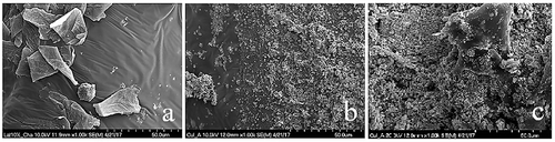 Figure 3. SEM images of (a) 10% polyisoprene with biochar addition and (b) 10% polyisoprene with CuI crystal addition and (c) 10% polysiloxane with CuI (magnification x1000).