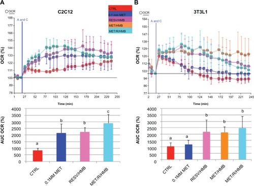 Figure 1 Synergistic effects of metformin and resveratrol-HMB on fatty acid oxidation in C2C12 muscle cells and 3T3L1 adipocytes. Differentiated C2C12 muscle cells (A) and 3T3L1 adipocytes (B) were treated with the treatments indicated for 24 hours.