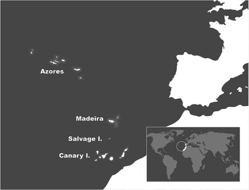 Fig. 1. Map of Lusitanian Macaronesia showing the location of each archipelago in the eastern Atlantic Ocean. Cape Verde not shown.