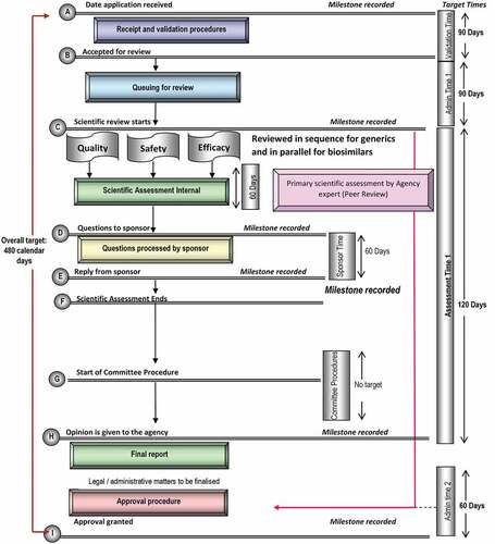 Figure 1. Regulatory review process map for Zimbabwe showing target times in calendar days. The map represents the review and authorization of a product that goes to approval after one review cycle – the additional two cycles would add another 120 calendar days, resulting in 480 days as the target review time. Reprinted from Sithole et al, 2021 [Citation20].