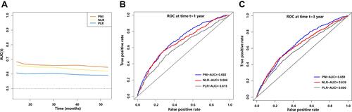 Figure 1 Time-dependent changes in the area under the curve (AUC) for overall survival of prognostic nutritional index (PNI), neutrophil-to-lymphocyte ratio (NLR) and platelet-to-lymphocyte ratio (PLR). (A) Temporal changes of the AUC, (B) ROC curves for 1-year mortality, (C) ROC curves for 3-year mortality.