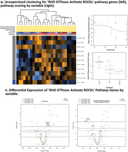 Figure 5. Pathway score and GSA results for Dexamethasone vs. Controls Timecourse. (a),(c). Expression of genes associated with RHO GTPases Activate ROCKs ReactomeDB pathway show activity associated with DEX treatment. (b),(d) Expression of genes associated with Apoptotic cleavage of cellular proteins pathway shows activity associated with timecourse, but not with DEX treatments.