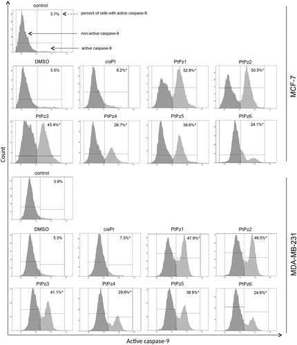 Figure 13. Flow cytometric analysis of populations MCF-7 and MDA-MB-231 breast cancer cells treated for 24 h with PtPz1–PtPz6 (20 µM) and cisplatin (20 µM) for active caspase-9. Mean percentage values from three independent experiments (n = 3) done in duplicate are presented. *p < .05 versus control group.