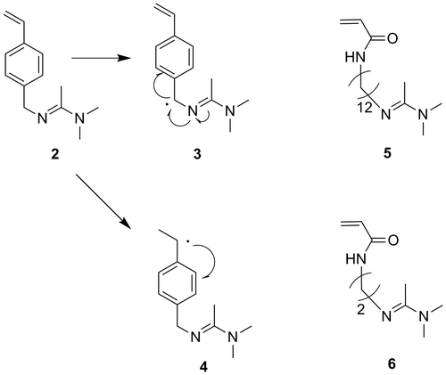 Figure 5. Illustration of possible radical structures of 4-vinylbenzyl amidine in radical polymerization (structure 3 and 4) and reported amandine monomers by the groups of Yuan (compound 5, Ref. [Citation11]) and Yung (compound 6, Ref. [Citation14]).