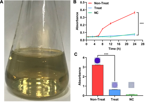 Figure 2 Extraction of P. aeruginosa PA75 biofilm supernatant. (A) Cell-free P. aeruginosa PA75 biofilm supernatant; Inhibitory effect of the biofilm supernatant on (B) bacterial growth and (C) biofilm formation of S. epidermidis ATCC35984. ***P < 0.001. Treat: the group treated with the biofilm supernatant, Non-Treat: the group treated with ultrapure water and NC: negative control.