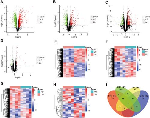 Figure 2 Differentially expressed mRNAs. (A–D) The volcano plots of differentially expressed genes of four pairs of comparison, including UIU versus UIN, HU versus HN, UIU versus HU, UIN versus HN. The x-axis: log2FC value; the y-axis: −log10 (p-value); red: upregulation; green: downregulation; black: non-significant difference. (E–H) The expression level heat maps of differentially expressed genes of four pairs of comparison, including UIU versus UIN, HU versus HN, UIU versus HU, UIN versus HN. The x-axis: mRNA; the y-axis: sample; red: high expression; blue: low expression. (I) Venn diagram of differentially expressed genes.