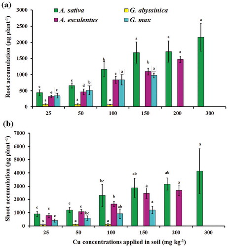 Figure 3. Accumulation of Cu in root (a) and shoot (b) of four plant species after 12 weeks of growth in soil contaminated with varying concentrations of applied Cu. Bars with the similar letters are statistically non-significant according to Duncan’s multiple range test (p < 0.05), Data are means (n = 3 ± SD), a in superscript represent significantly highest followed by later alphabets for lower means